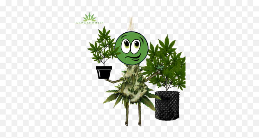 Cannabis Strain Is Best For New Growers - Happy Emoji,Cannibis Leaf Emoticons