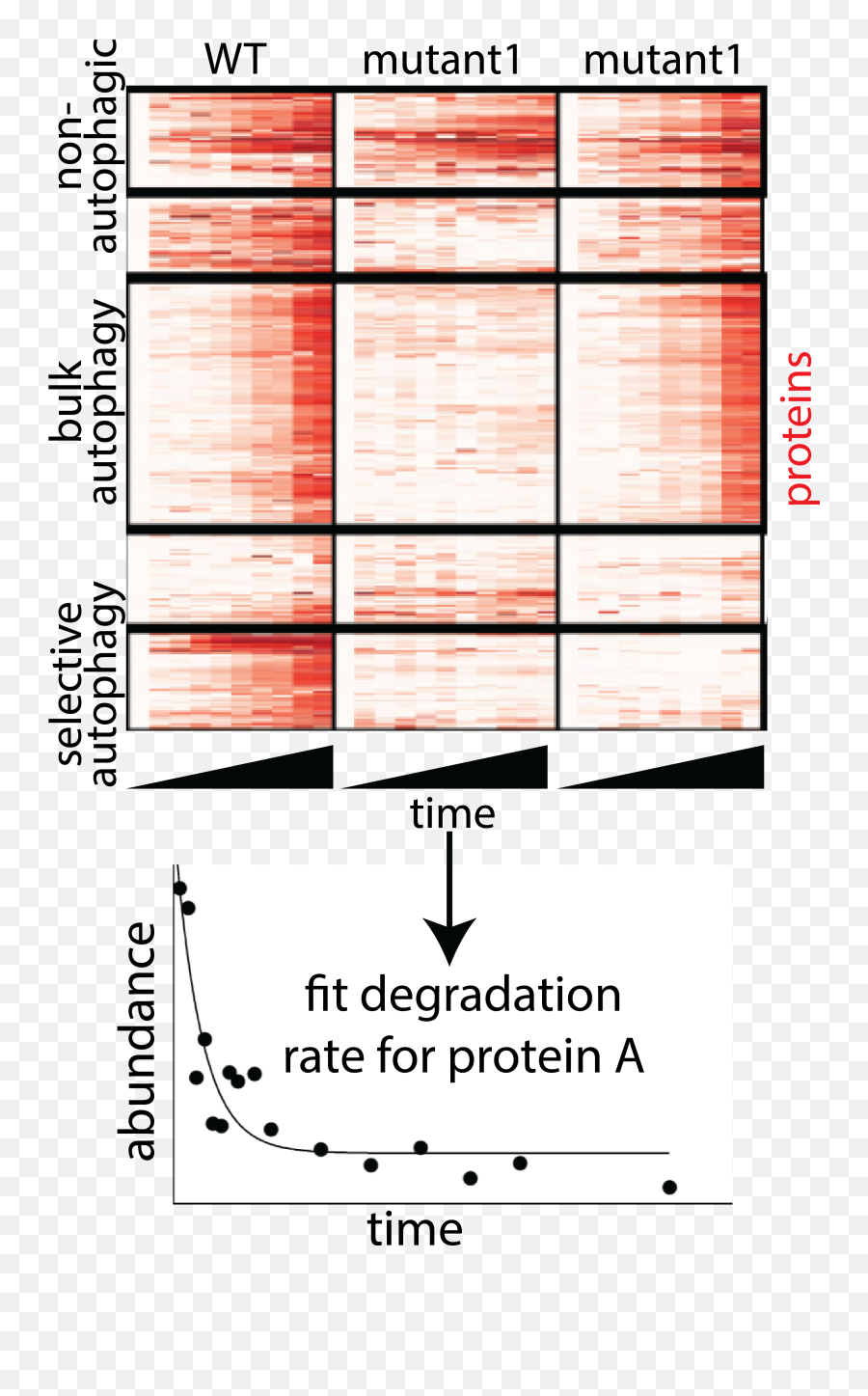 Methods Development U2014 Davis Lab Mit - Vertical Emoji,Emoji Motions