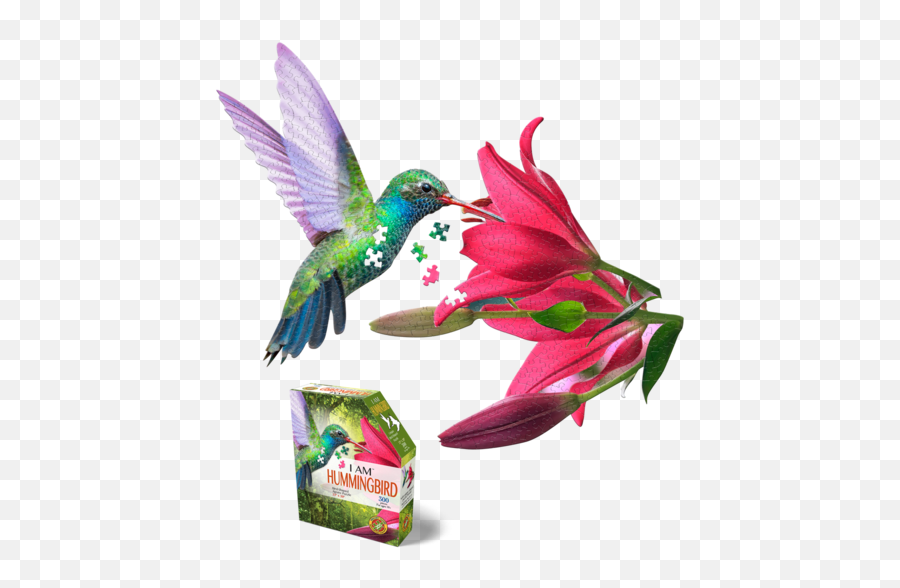 Gift - Am Hummingbird Puzzle Emoji,Windbag Emoticon