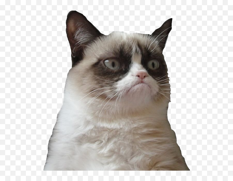 Fastest Cat Face Png Emoji,Sad Cat Face Emoticon