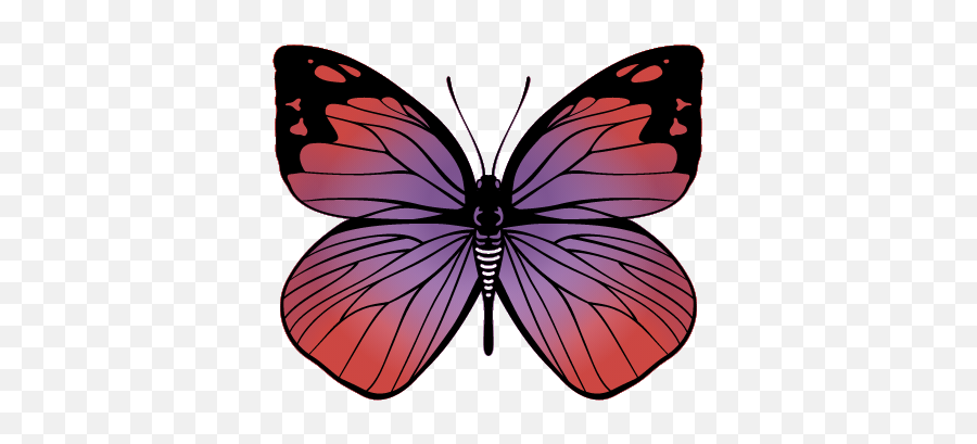 Gift Of Hope 2021 Donor Family Tribute - Legacy Wings Emoji,Emotion Is A Thought And A Thought Can Be Changed Louise Hays