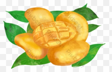 Fine Small Taiwan Mango Fruit Picture Png Images Psd Free - Citron Emoji,Tangerine Emoji