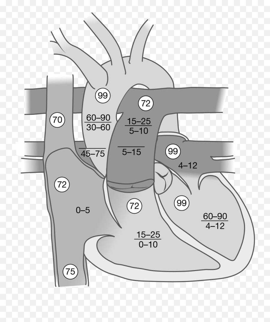 Cardiovascular System Springer Publishing - Dot Emoji,Electronic Cat Ears That Respond To Your Emotions