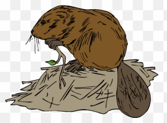 Beavers Cliparts Png Images - Beaver Clipart Emoji,Hairless Beaver Emoticon