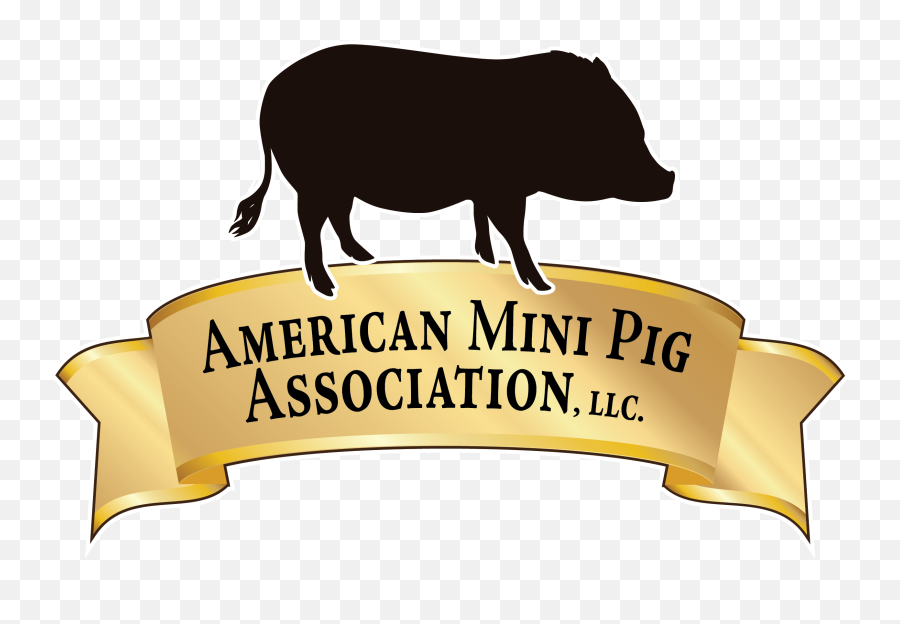 Ampa Mini Pig Therapy Pet Program - Vietnamese Emoji,Dog Emotion Committed To Human Pig