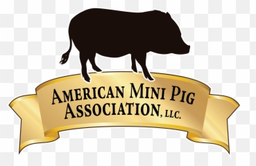 Ampa Mini Pig Therapy Pet Program - Vietnamese Emoji,Dog Emotion Committed To Human Pig