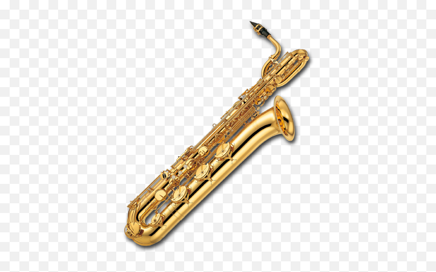 Teaching Activity Banda Musicale Fubinese Website - Saxofon Baritono Emoji,Alto Saxophone Emotions