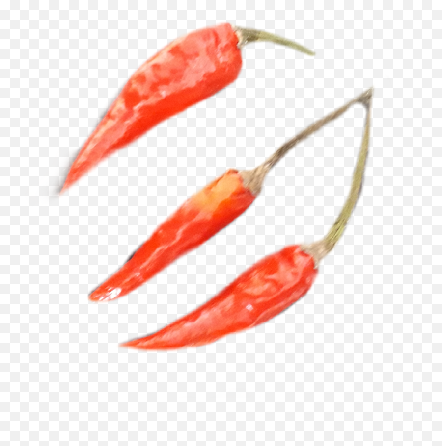 Chilli Sticker By Sherpa Pasang - Spicy Emoji,Chilli Emoji