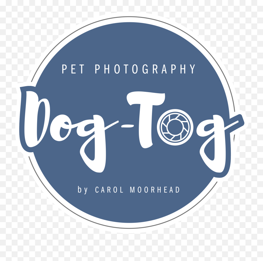 Tampa Bay Dog Photographer Emoji,Nmber Text Emoticon Corgi