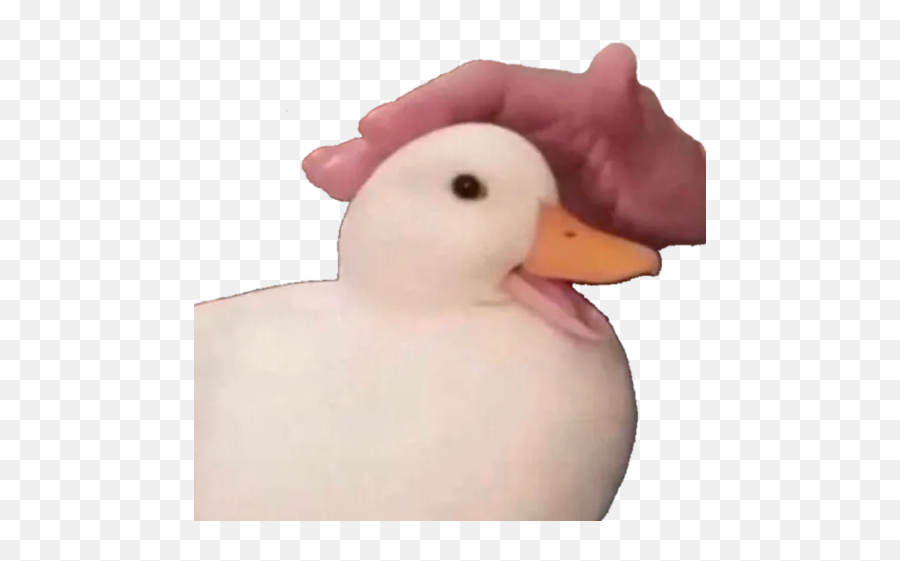 Big Man Sticker Collection Vol X By Big Man Manu - Sticker Emoji,Duck Emoji Big