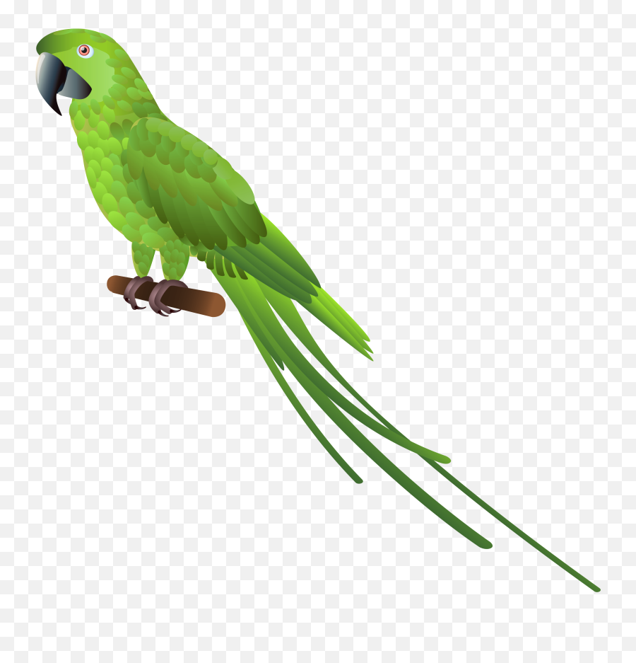 Parrot Clipart Summer Free Download Clipart Pictures - Green Parrot Png Hd Emoji,Parrot Emoji Iphone