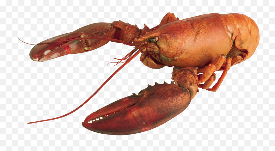 Lobster Png Images Emoji,Lobster Emojii