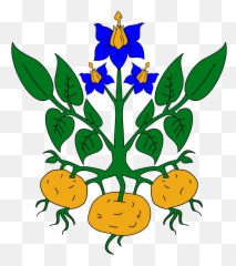 Potato Clipart Potato Plant Potato - Clipart Potato Plant Emoji,Potatoe Emoji