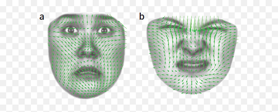 How Emotions Are Made U2013 U0027angryu0027 Facereader Noldus Consulting - Dot Emoji,Opposite Emotions