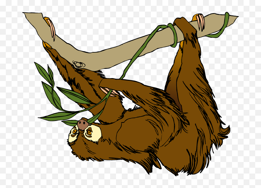 Free Transparent Sloth Download Free Clip Art Free Clip - Slow Moving Animals Clip Art Emoji,Is There A Sloth Emoji