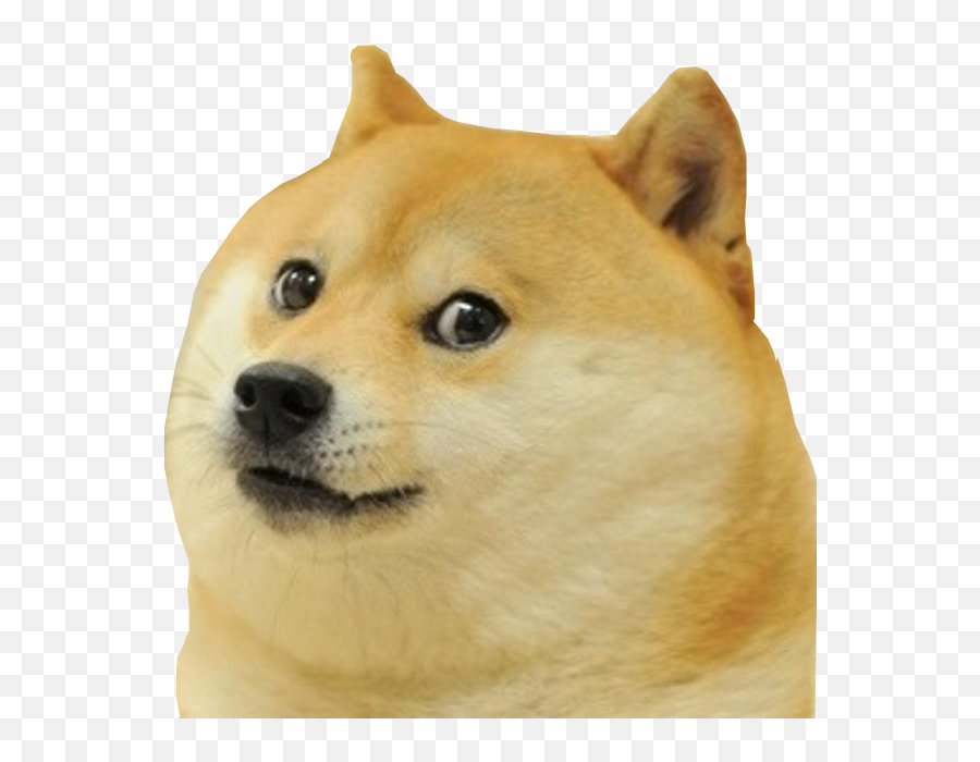 Doge Launcher - Feel Personally Attacked I Feel Attacked Meme Emoji,Doge Emoji Png