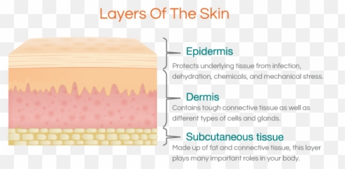 My Experience - 3 Layers Of Skin Emoji,Microblading Emotions