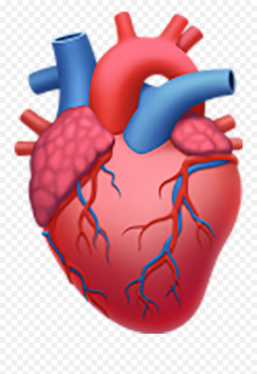 Corazón Anatómico Copiar Pegar Emoji - Anatomical Heart Emoji,Emojis Corriendo