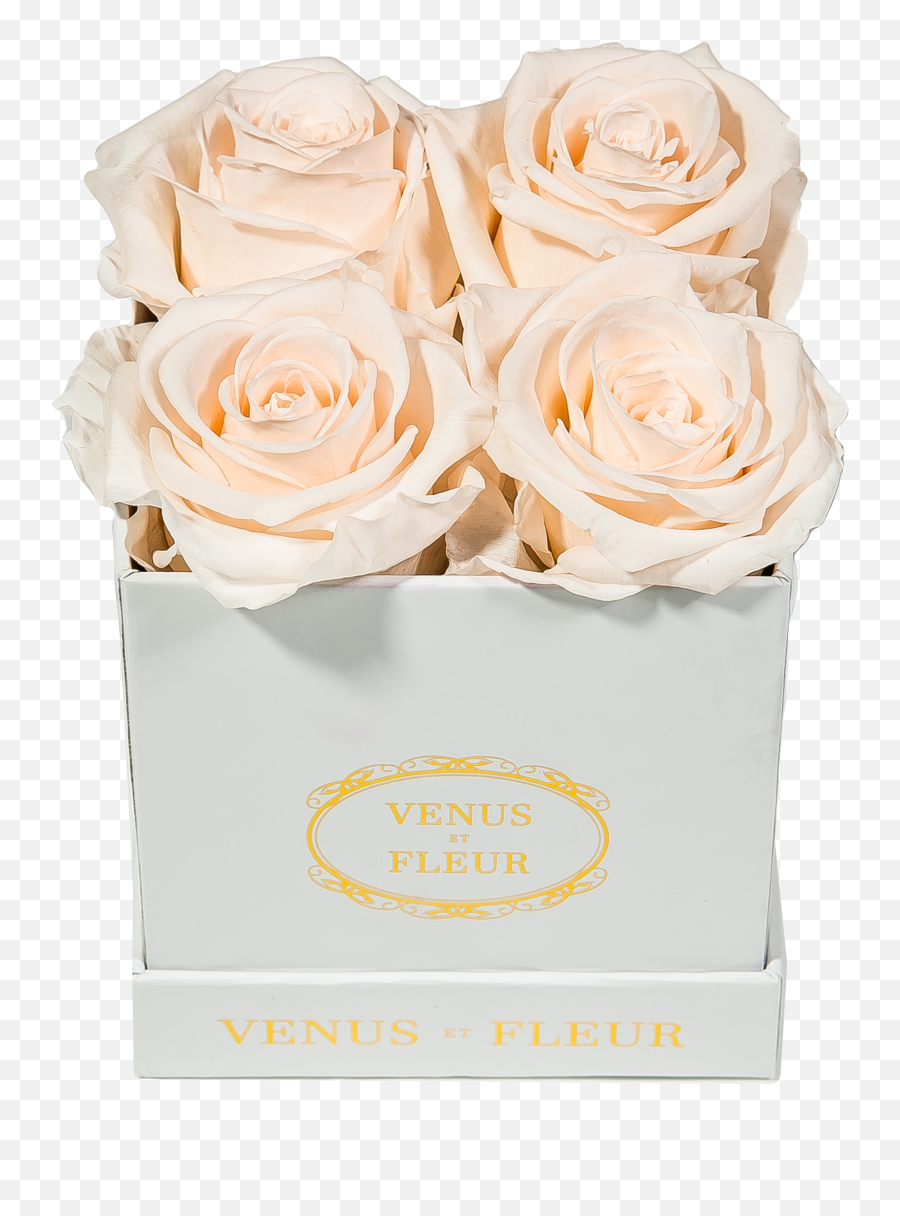 The Ultimate Mothers Day Gift Guide - Le Petit Venus Et Fleur Emoji,Kash Doll Emoji