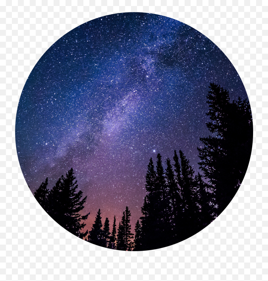 Galaxy Forest Pretty Sticker Sticker - Wish I Could Hold You Emoji,Forest At Night Emoji