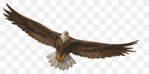Appendix A Miscellaneous Creatures Draconic - Giant Eagle Png Emoji,Thirsty Tongue Emoji