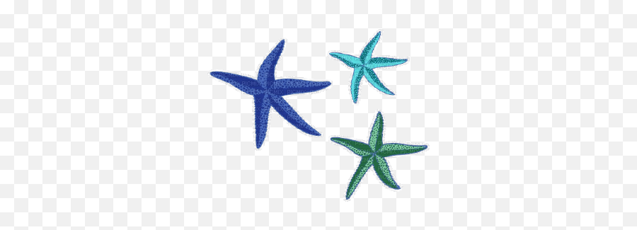 Starfishsummermerbluevictoriabea Été Sea Mar Emoji,Starfish Emotion For Facebook