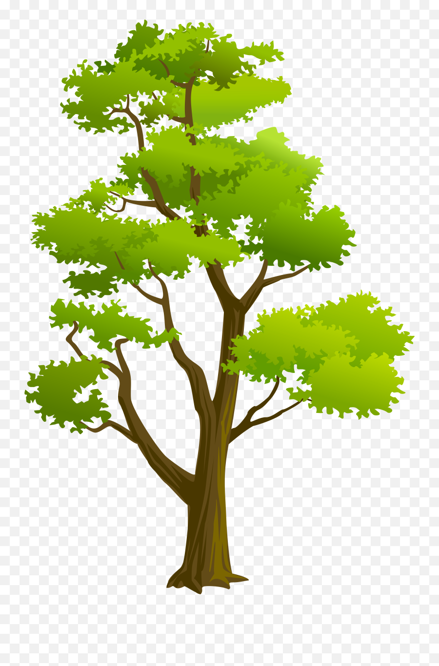 Tree Clipart High Resolution Tree High Resolution - High Resolution Tree Clipart Hd Emoji,Emoji High Definition
