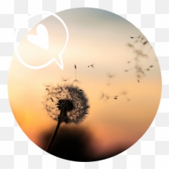 Allá Voy Con Miedo Y Confianza Humorg Emoji,Emoticon De Preocupacion Whatsapp