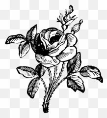 Bouquet Of Flowers Png Black And White - Public Domain Copyright Free Art Emoji,Bouquet Of Flowers Emoji