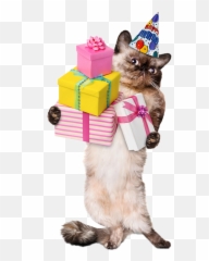 Scpartyitems Partyitems Sticker By Peace Love Create - Happy Birthday 16 Emoji,Emoji Birthday Party Decorations