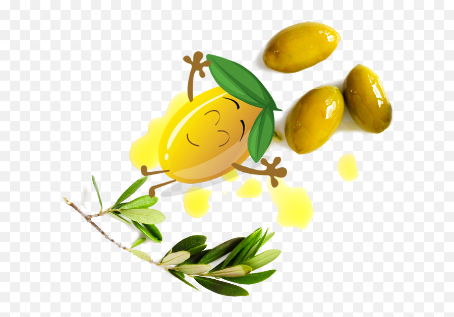 Kidsolio U2013 Olive Oil For Kids - Olive Oil Branch Emoji,Olive Emoticon?