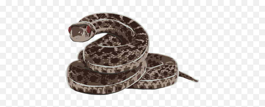 Affect And Phenomenal Consciousness - Boa Constrictor Emoji,Do Snakes Feel Emotion