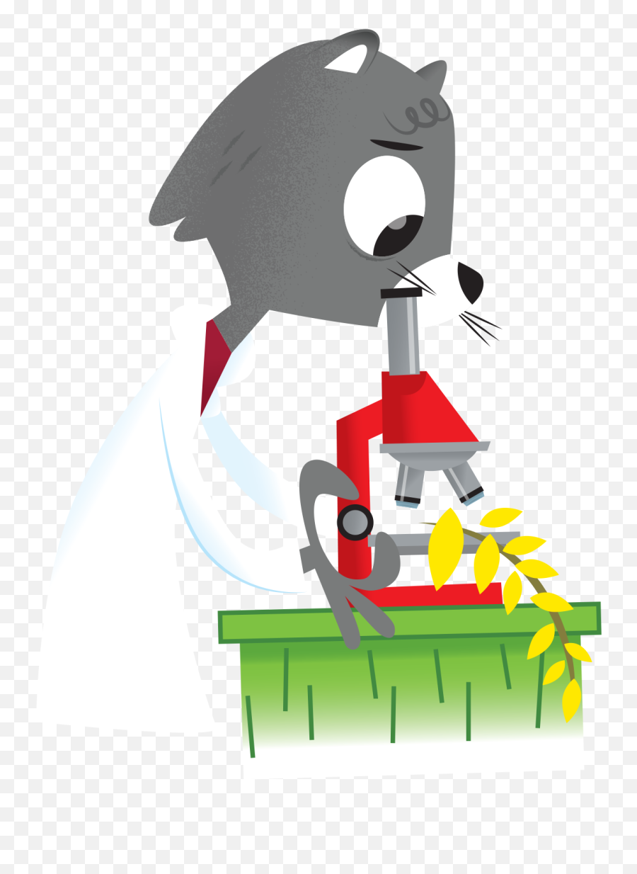 Ask Dr Universe Washington State University - Microscope Cat Cartoon Png Emoji,Tears From Different Emotions Look Different Under An Electron Microscope