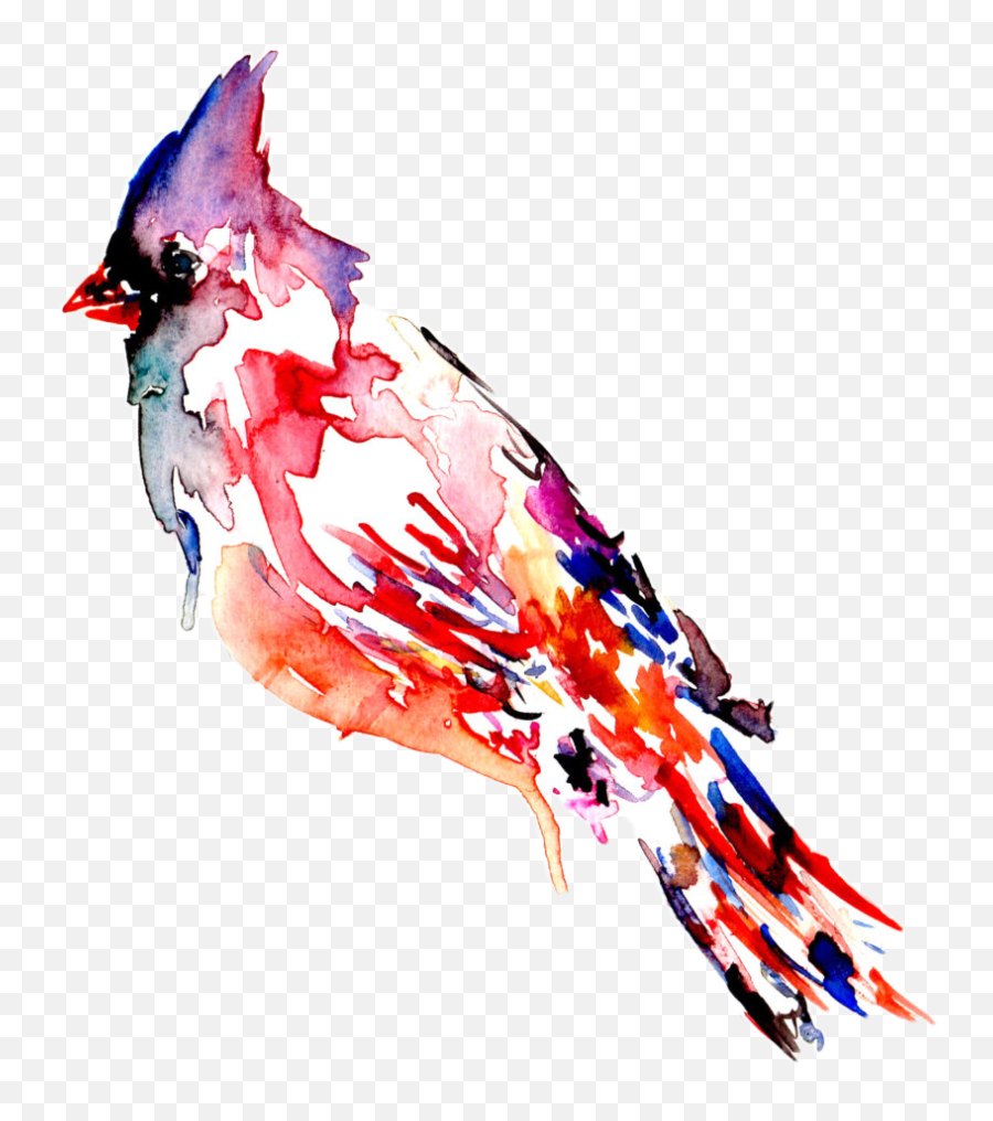 Cardinal Bird Png - Cardinal Bird Art Birdart Rainbow Emoji,Cardinal Bird Facebook Emoticon