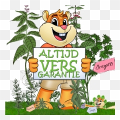 Knaagdiervoeding Voer Voor Knaagdieren U0026 Konijnen Drd Emoji,Vitakraft Emotion Complete Hamster