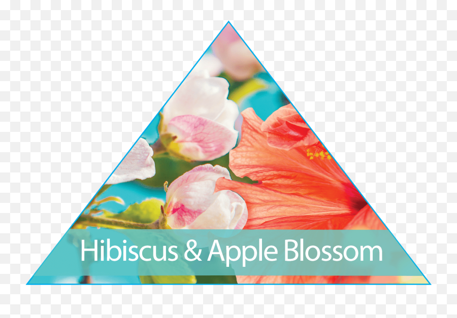 Products U0026 Services - Aerowest Emoji,Theme Sweet Emotion Products U0026 Services - Aerowest Emoji,Theme Sweet Emotion