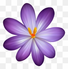 Orchid Clipart Lilac Orchid Lilac Transparent Free For - Purple Flower Transparent Clipart Emoji,Orchid Emoji