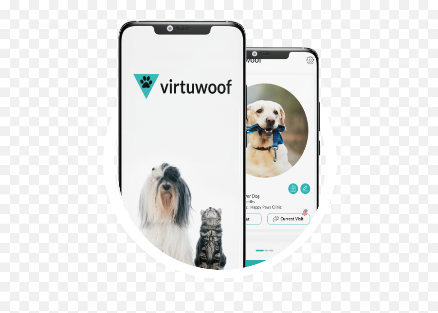 Best Veterinary Telemedicine App For Vet U0026 Pet Owners Emoji,Hungarian Dogs That Look Like Golden Retrievers But Are In Tune To Emotions