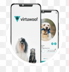 Best Veterinary Telemedicine App For Vet U0026 Pet Owners Emoji,Hungarian Dogs That Look Like Golden Retrievers But Are In Tune To Emotions