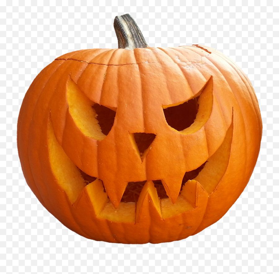 Realistic Vector Halloween Pumpkin - Real Halloween Pumpkin Png Emoji,Emoji Pumpkin Carving