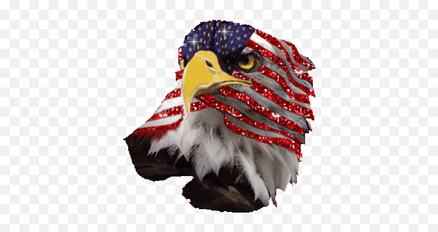 Top Philippine Eagle Stickers For - American Eagle Gif Emoji,Albanian Eagle Emoji