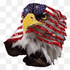 Top Philippine Eagle Stickers For - American Eagle Gif Emoji,Albanian Eagle Emoji
