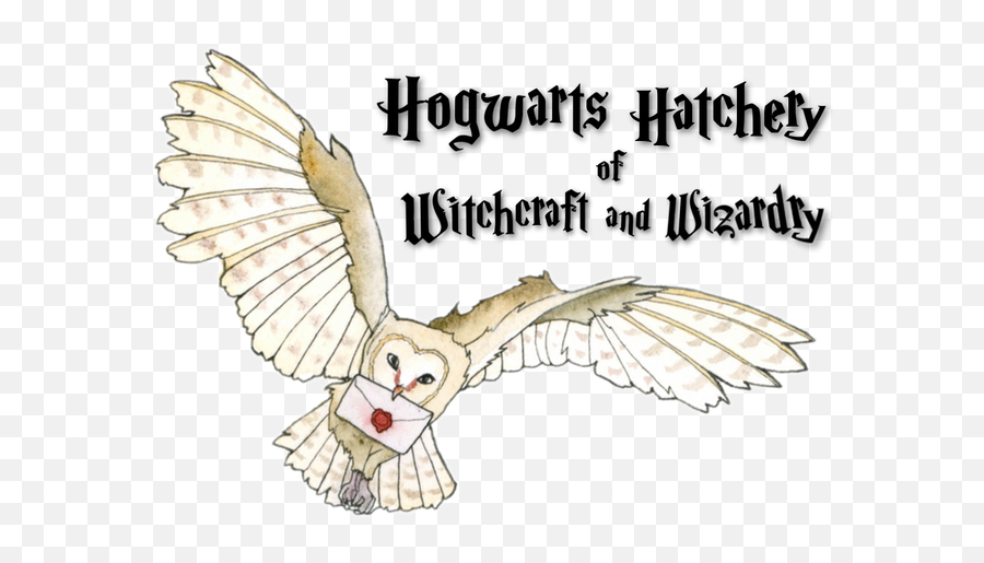 Hogwarts Hatchery On Hiatus Dragons For Sale Flight - Photo Caption Emoji,Huff Emoji
