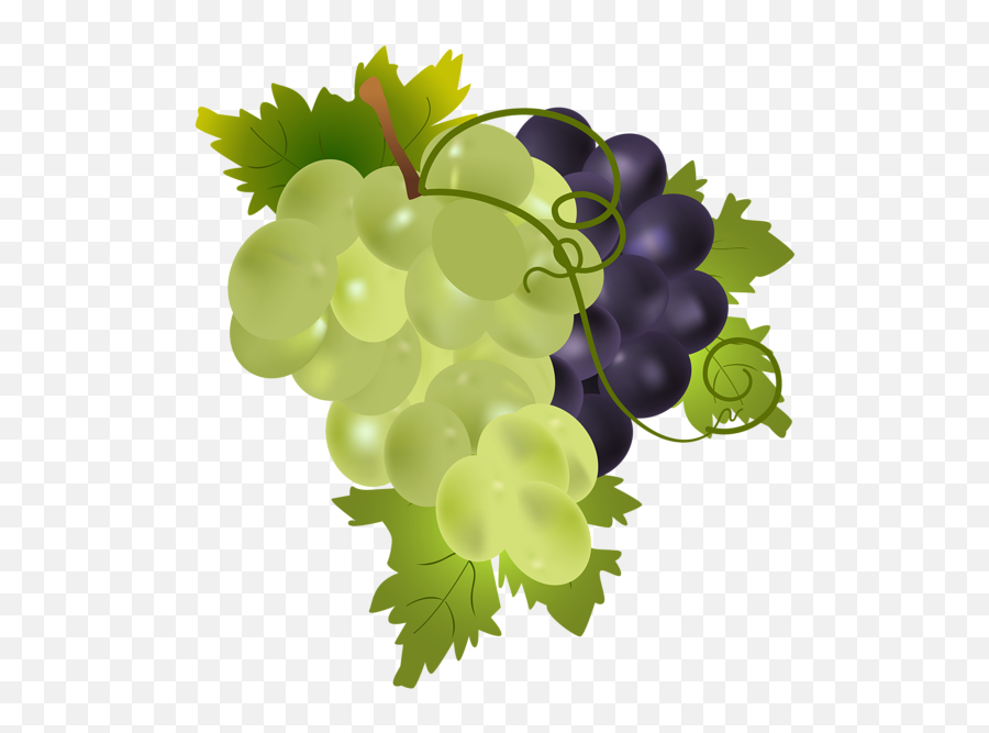 Clip Art Transparent Grapes - Clipart Grape Transparent Emoji,Green Grape Emoji