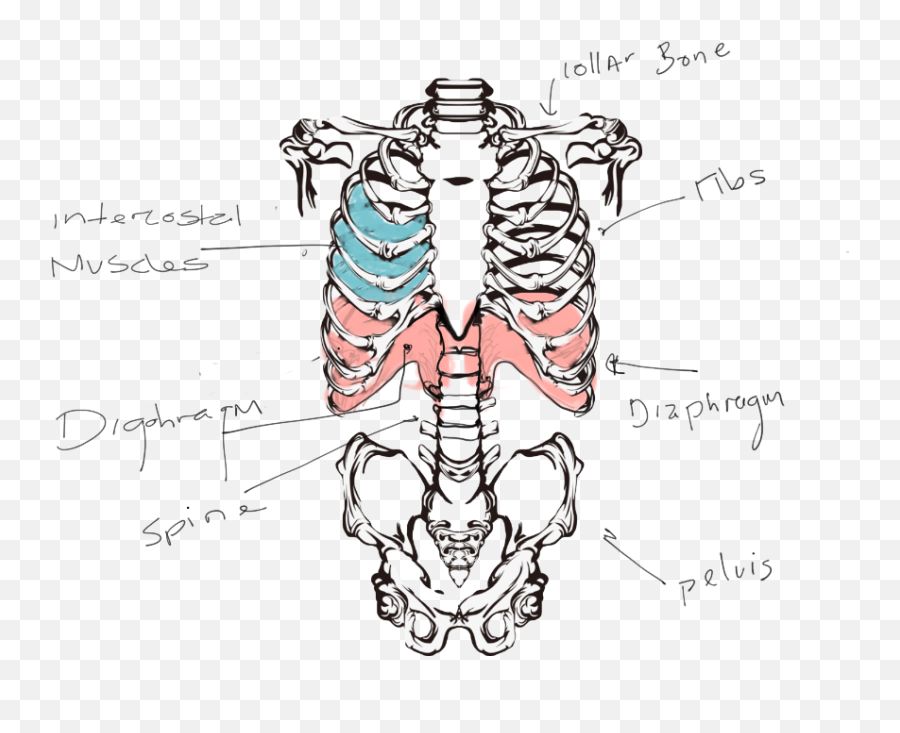 Admin - Vector Skeleton Emoji,Emotion Dally Lama Npr