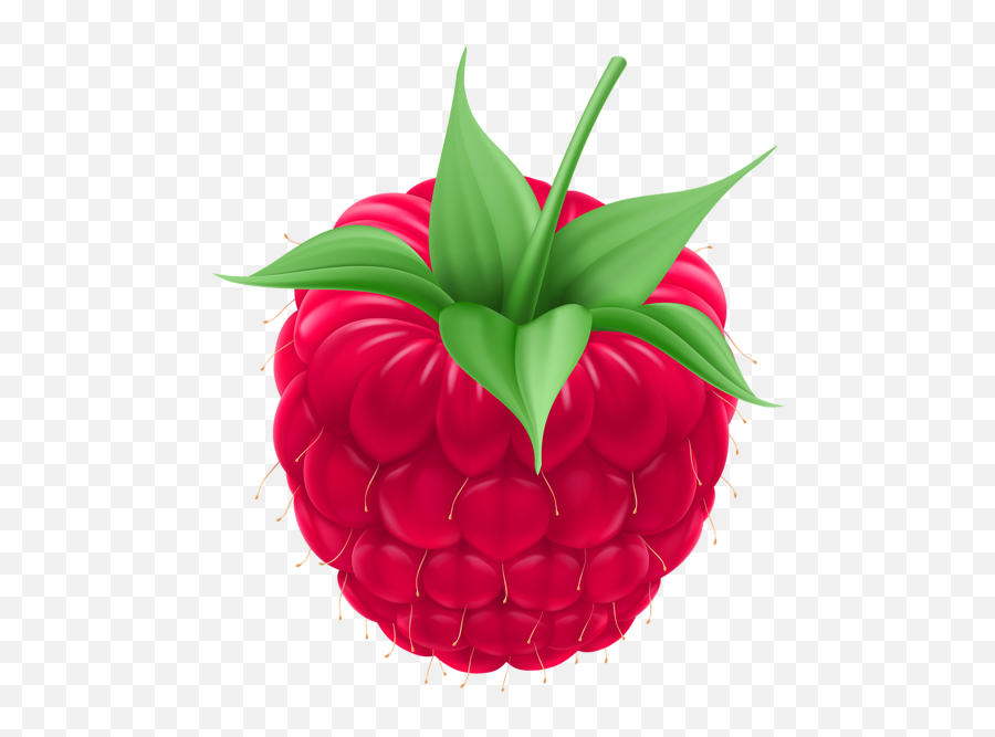 Raspberry Png Clip Art Image - Raspberry Clipart Png Emoji,Entranced Emoticon