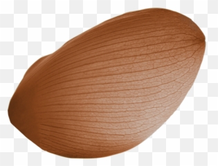 Festival De San Sebastián Cine Vasco - Oval Emoji,Emojis La Pelicula Online