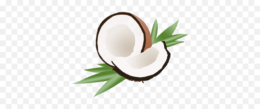 Coconut Oil Sticker Pack - Fresh Emoji,Coconut Emojis