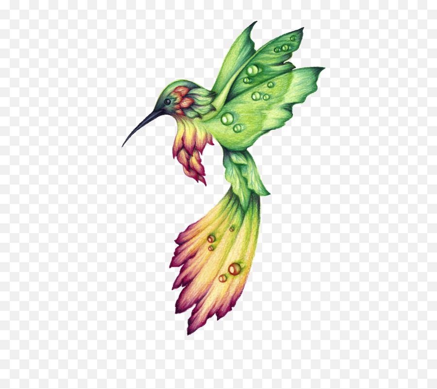 Hummingbird Drawing Bird Drawings - Hummingbird Drawing Emoji,Hummingbird Emoji