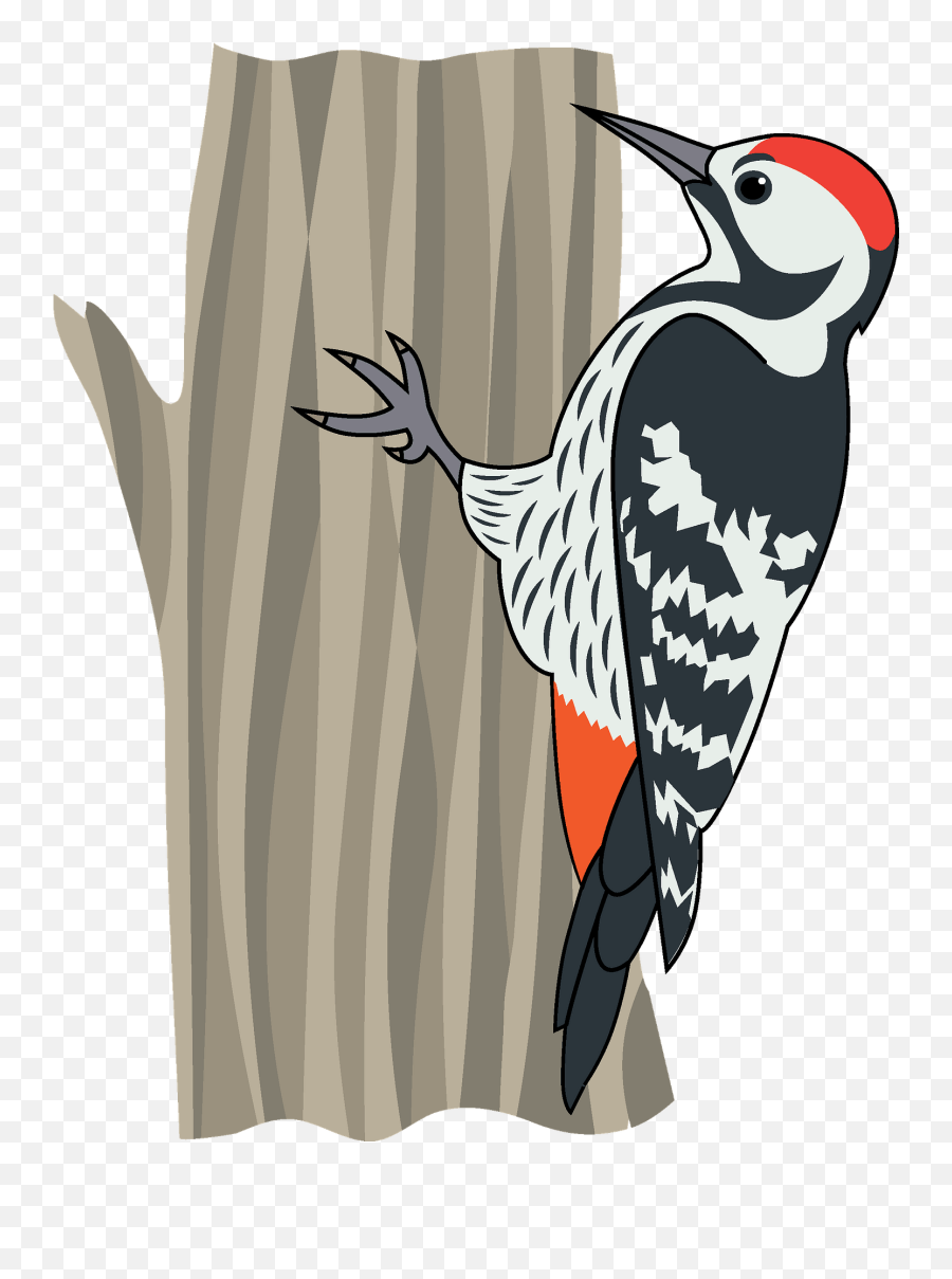 Woodpecker Clipart - Woodpecker Clipart Emoji,Woodpecker Emoji